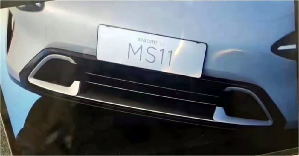  MS11